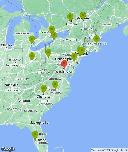 Washington Capitals_league.png